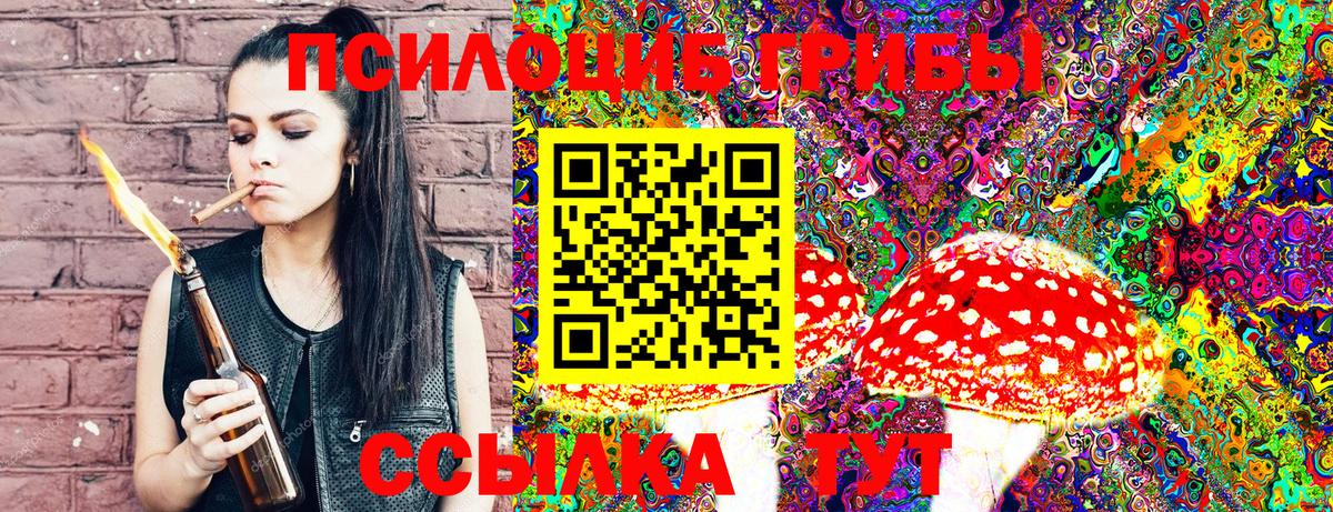 Галлюциногенные грибы GOLDEN TEACHER Междуреченск